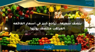 بنصف سعرها.. تراجع كبير في أسعار الفاكهة المرتقب منتصف يونيو!